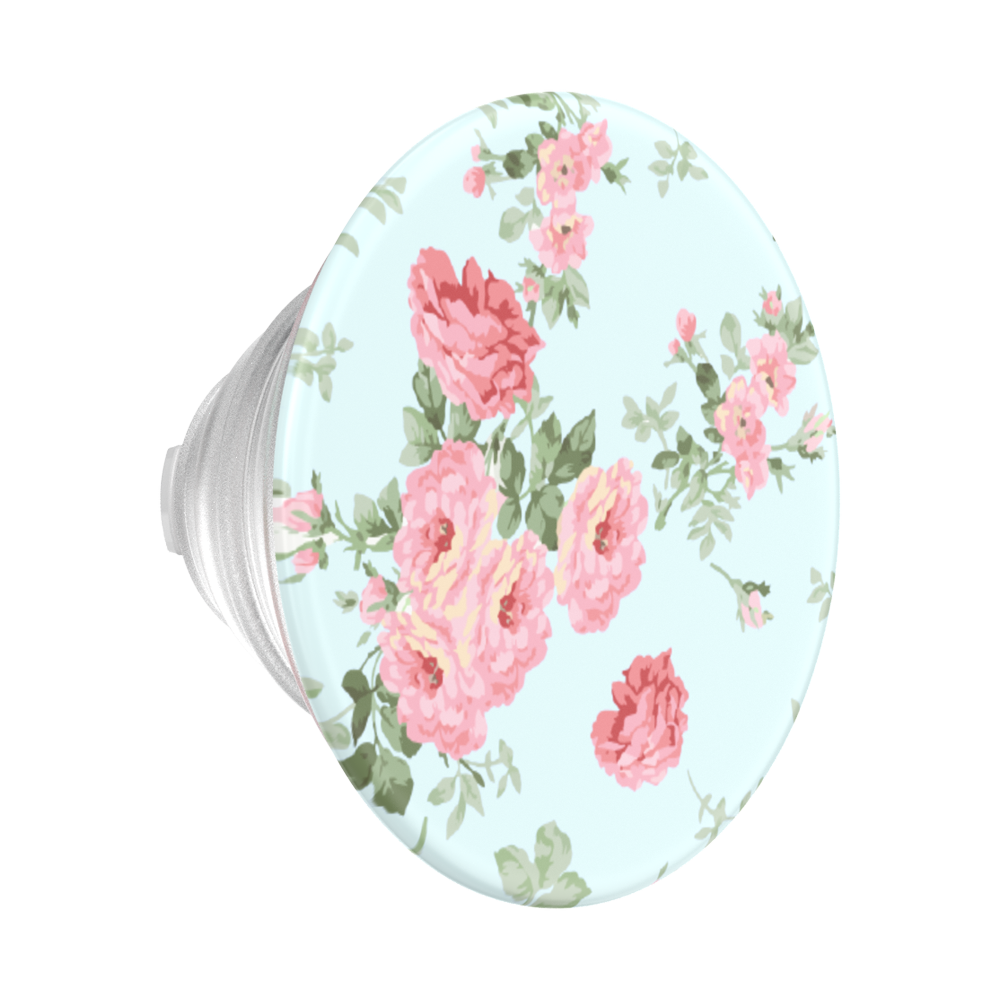 Cottage Tutu Blue — MagSafe PopGrip - US 62533