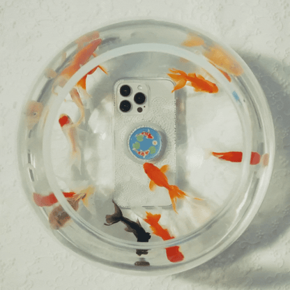 Koi Pond — MagSafe PopGrip - US 24070