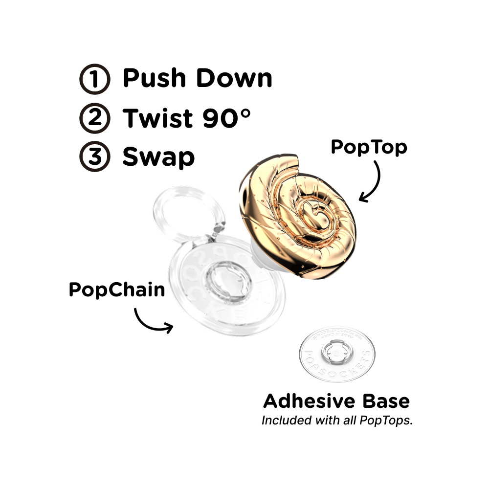 Enamel Nautilus Shell — PopTop - US 44795