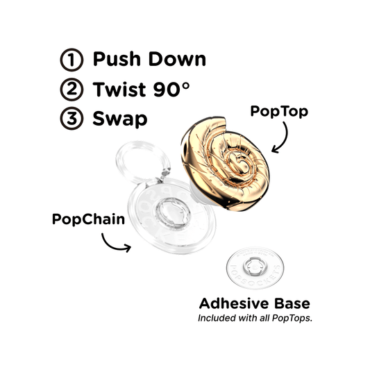 Enamel Nautilus Shell — PopTop - US 44795