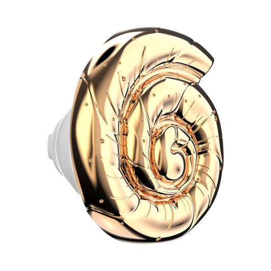 Enamel Nautilus Shell — PopTop - US 02115