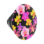 Haute House — PopTop - US 00439