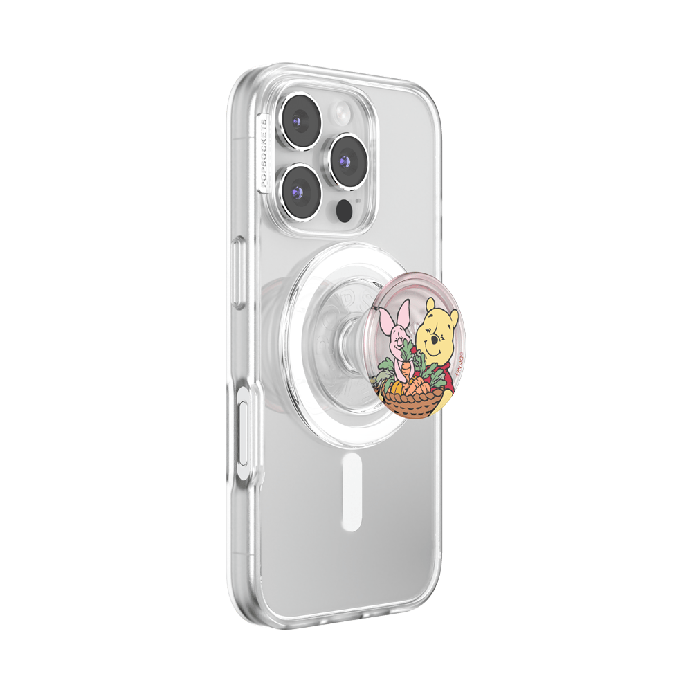 Harvest Friends — MagSafe PopGrip - US 95228