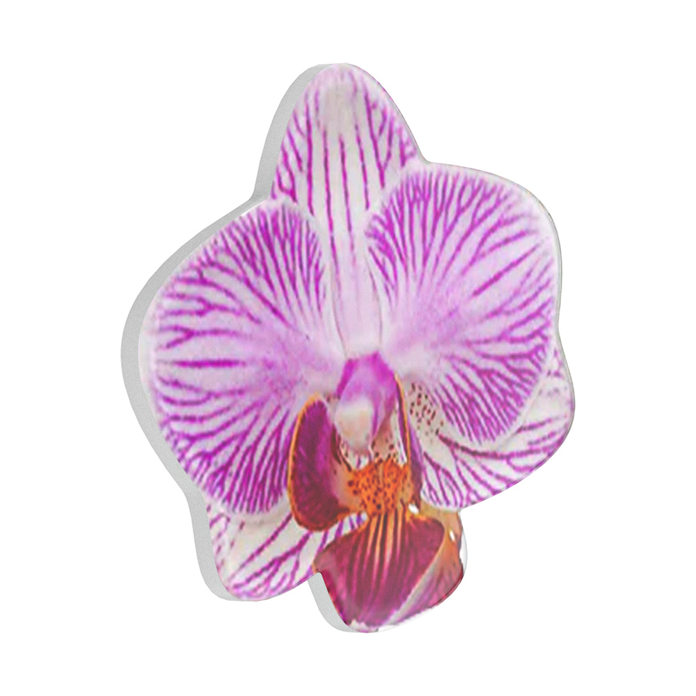Lilio — MagSafe PopGrip - US 33986