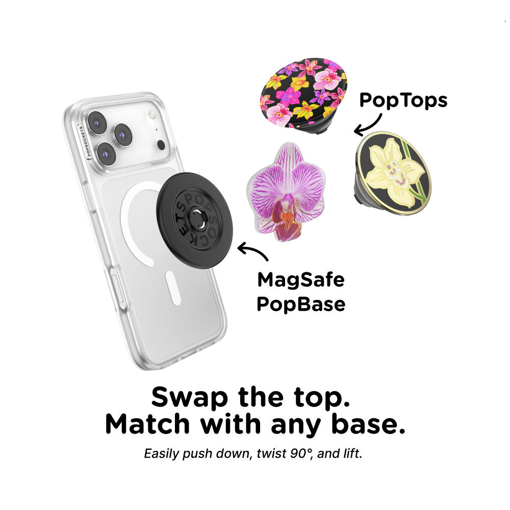 Lilio — PopTop - US 37922