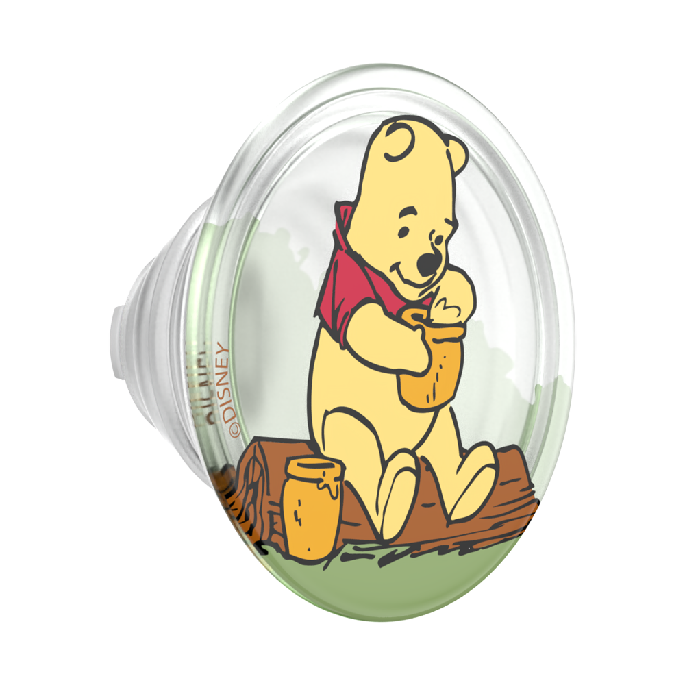 Pooh's Honey Time — PopTop - US 34829
