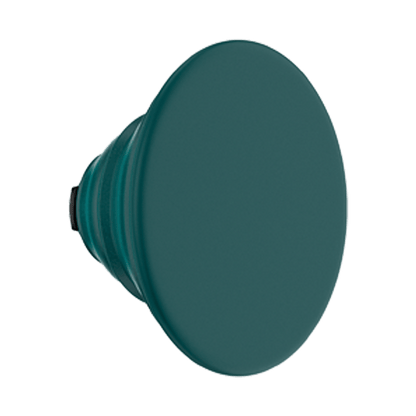 Fresh Pine — PopTop - US 75647