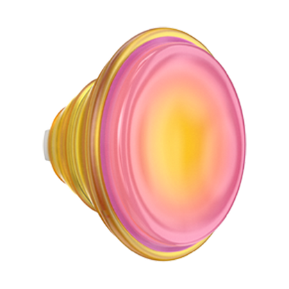 Jelly Sunni B — PopTop - US 14829