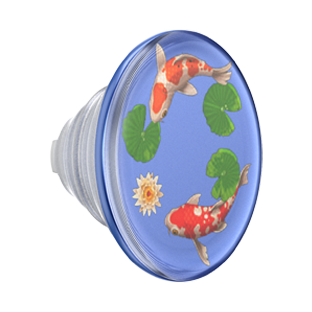 Koi Pond — PopTop - US 07643