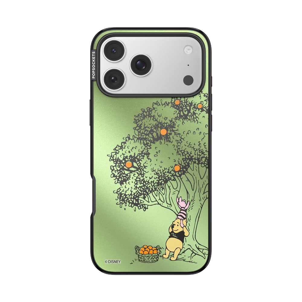 100 Acre Wood — iPhone 17 Pro Max MagSafe Case - US 30858
