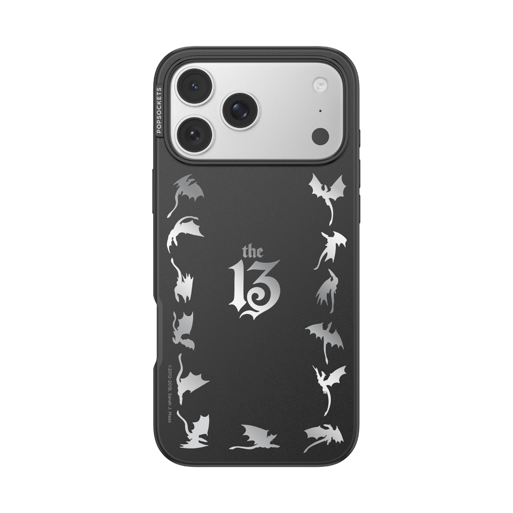 Mirror The 13 — iPhone 17 Pro Max MagSafe Case - US 69333