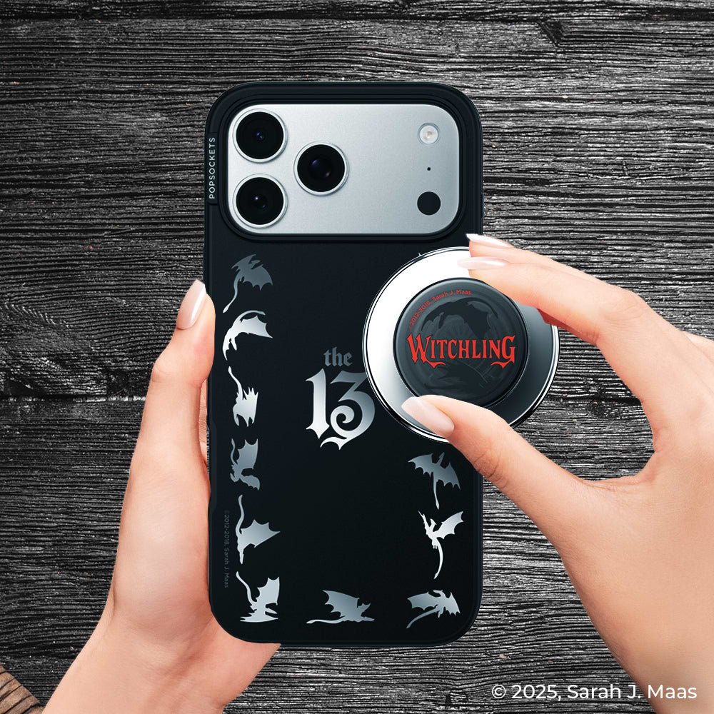 Mirror The 13 — iPhone 17 Pro Max MagSafe Case - US 95189