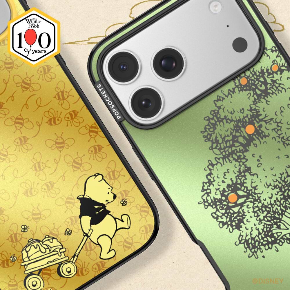 100 Acre Wood — iPhone 17 Pro MagSafe Case - US 39746